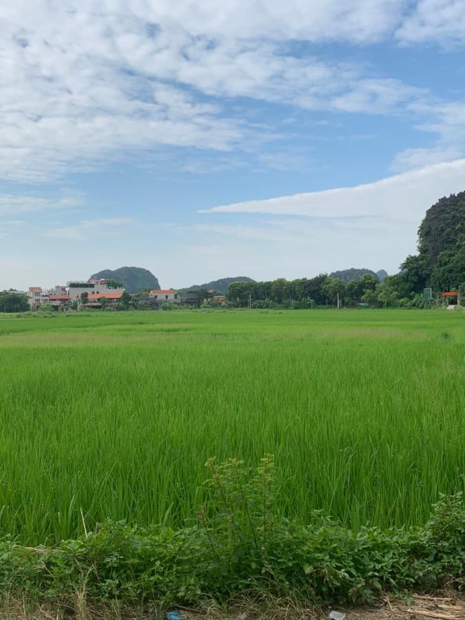 Tam Coc Wonderland Bungalow Ninh Binh Bagian luar foto