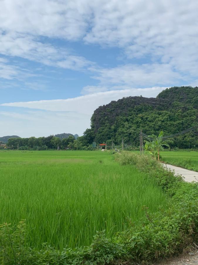 Tam Coc Wonderland Bungalow Ninh Binh Bagian luar foto