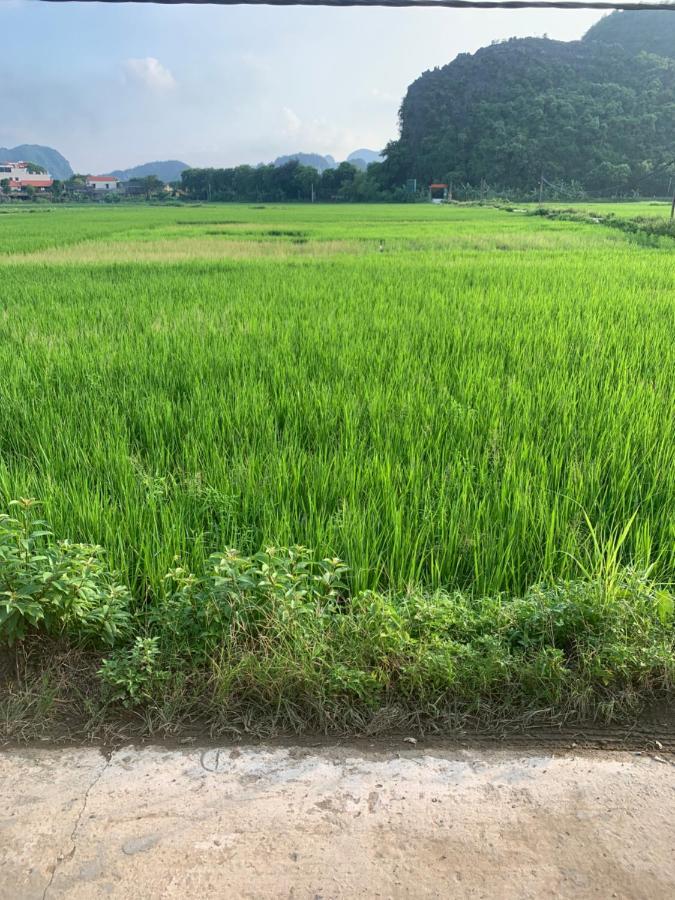 Tam Coc Wonderland Bungalow Ninh Binh Bagian luar foto